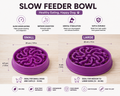 Slow Feeder Bowl