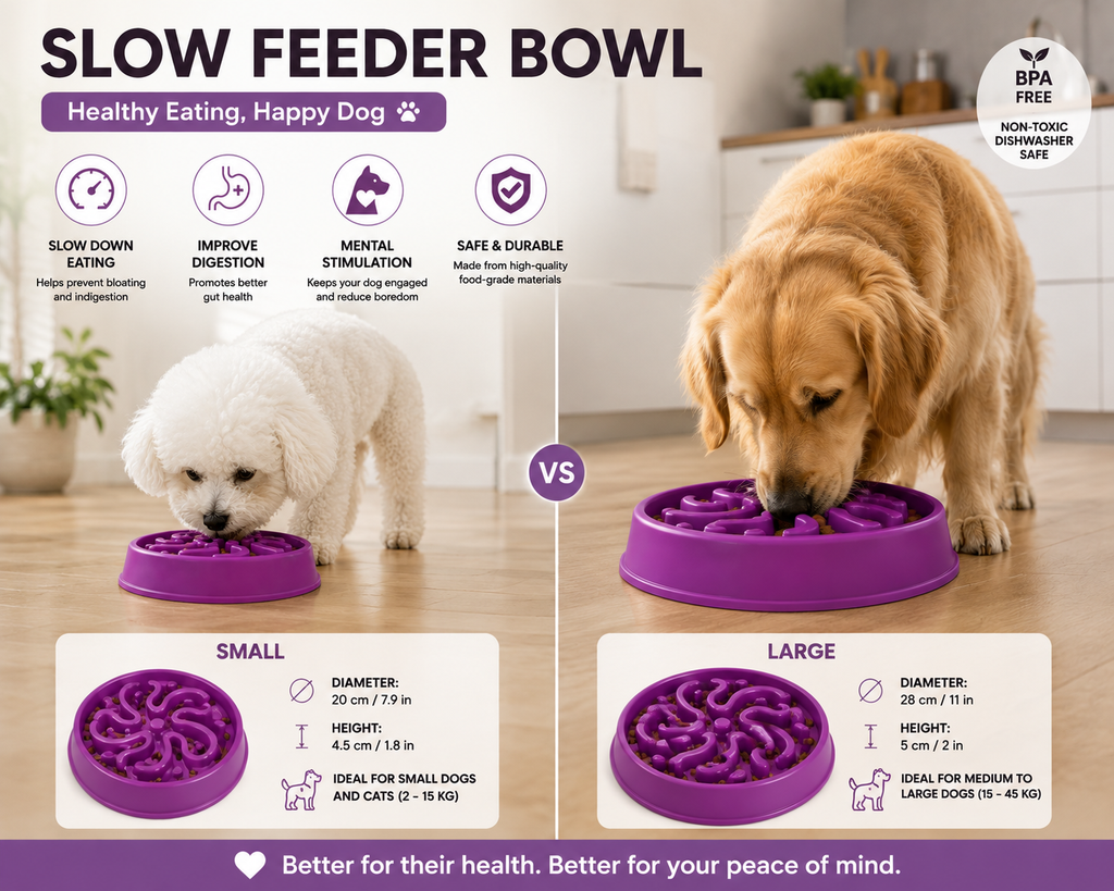 Slow Feeder Bowl