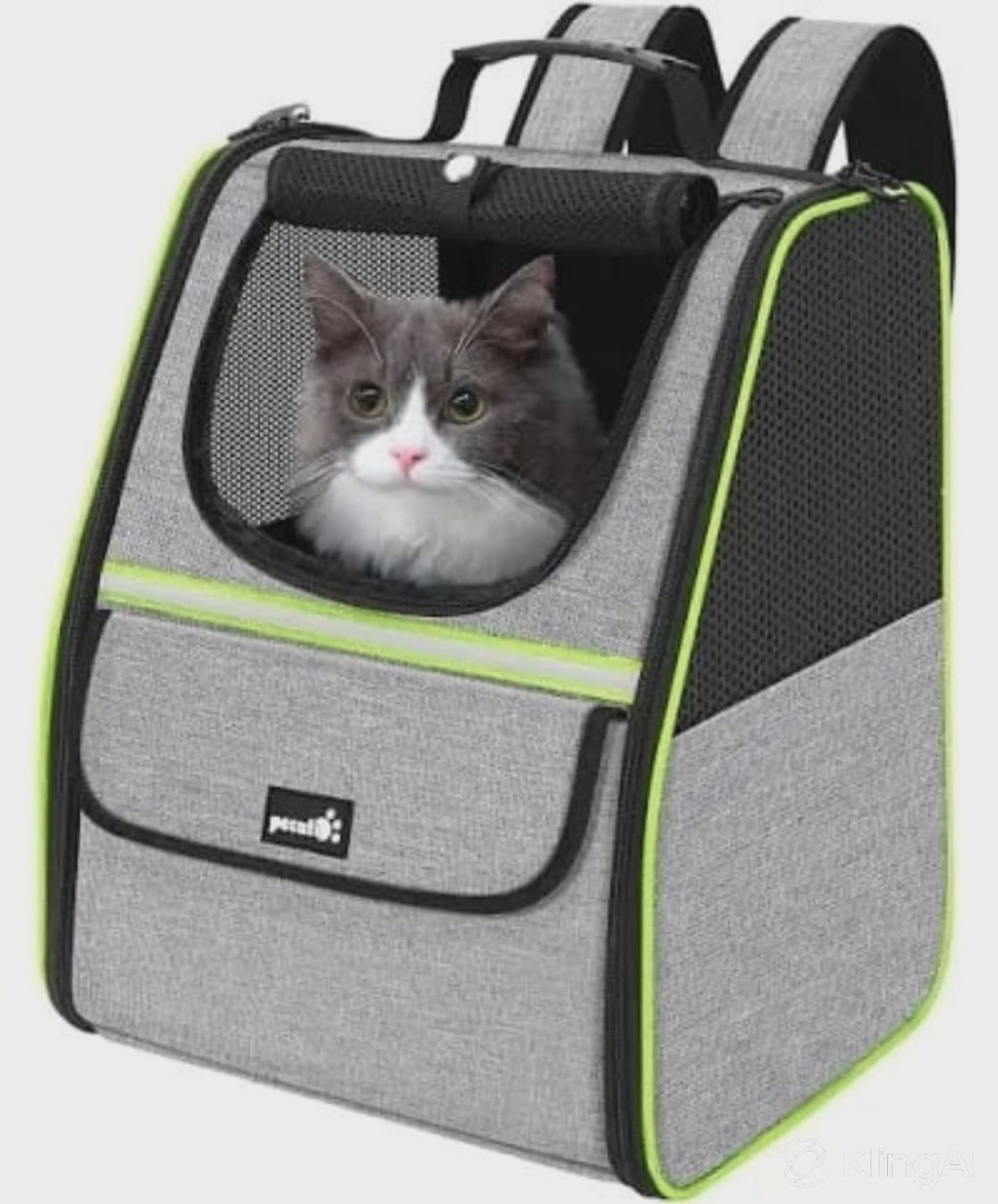 Pet Carrier Backpack
