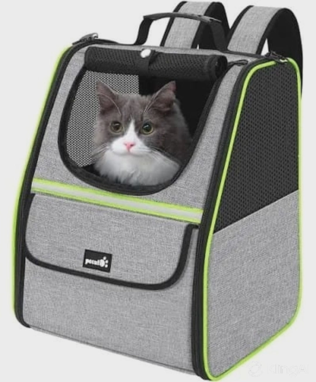 Pet Carrier Backpack